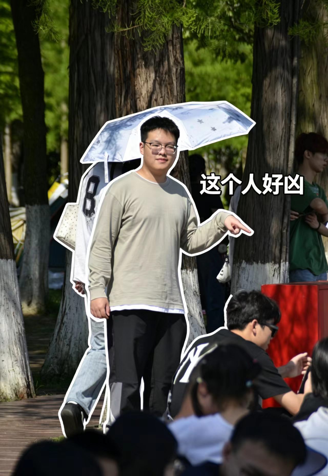 照片8